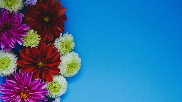 索尔巴肯：圣西罗为哈兰德鼓掌是顶级礼遇；挪威将进入新时代